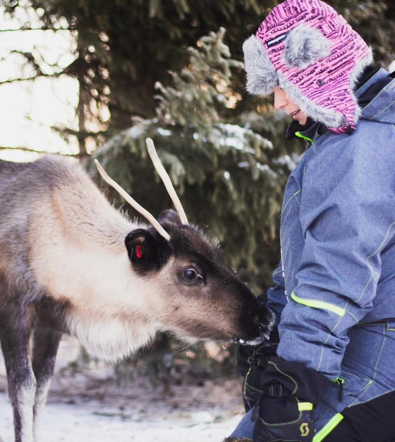 Вилла Beautiful Rural Experience With Reindeer Тервола Экстерьер фото