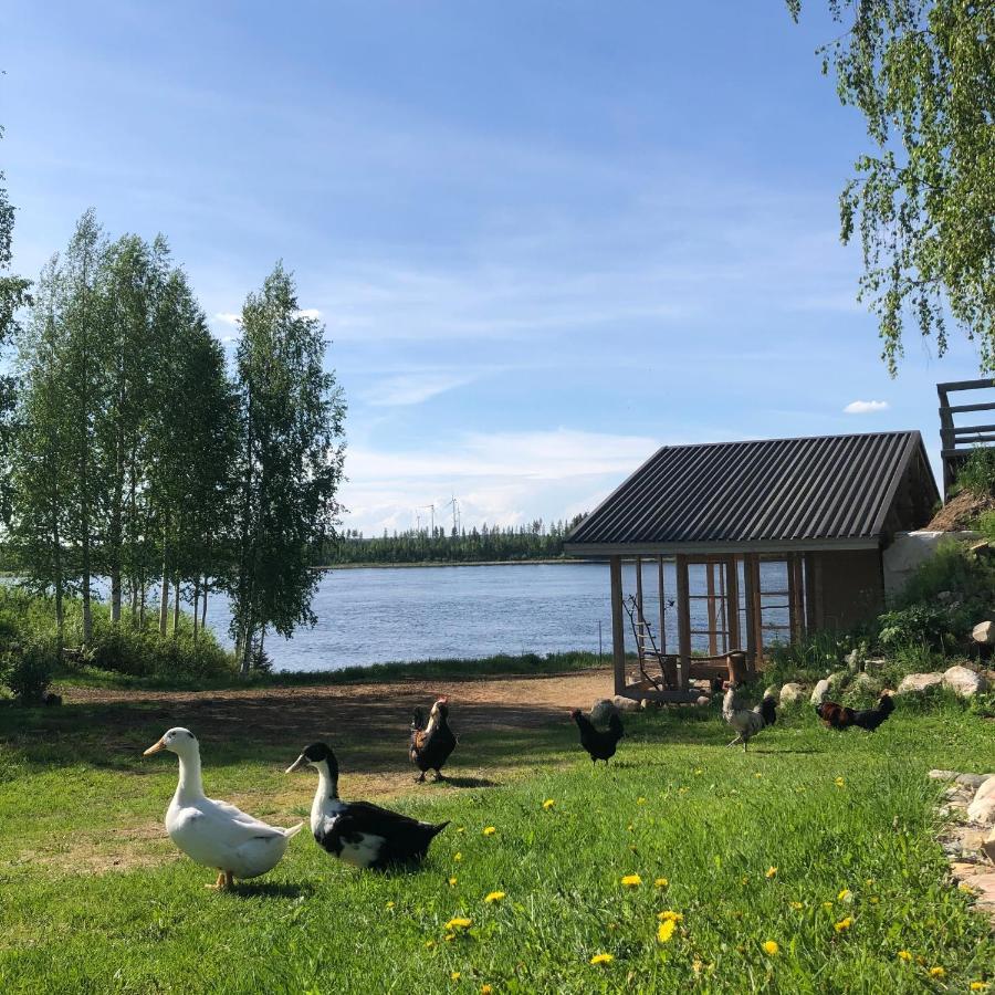 Вилла Beautiful Rural Experience With Reindeer Тервола Экстерьер фото
