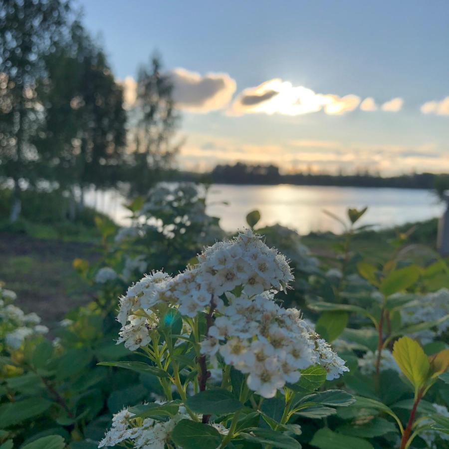 Вилла Beautiful Rural Experience With Reindeer Тервола Экстерьер фото
