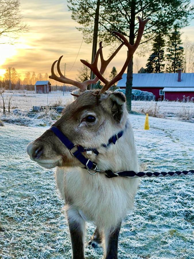 Вилла Beautiful Rural Experience With Reindeer Тервола Экстерьер фото