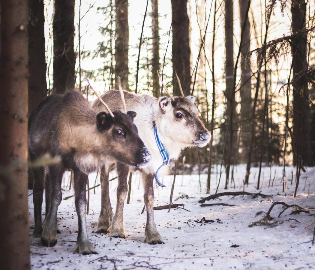 Вилла Beautiful Rural Experience With Reindeer Тервола Экстерьер фото